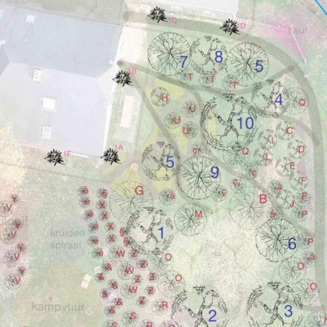 🌿 Stappen tot een degelijk voedselbosontwerp    Stap 5 – Het Beplantingsplan & De Plantenlijst: Van visie naar een levend systeem