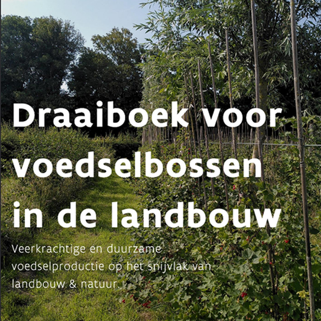 Voedselbosbeleid in Vlaanderen: wat kan er al, en waar wringt het nog?
