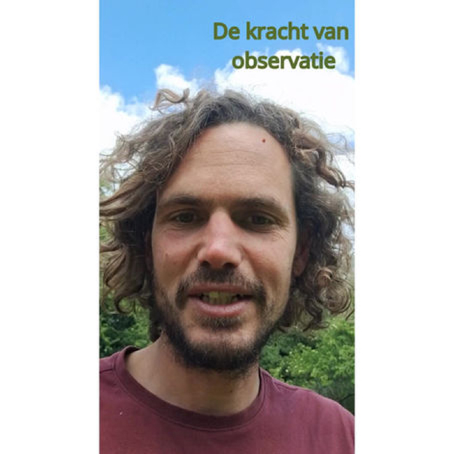 De kracht van observatie