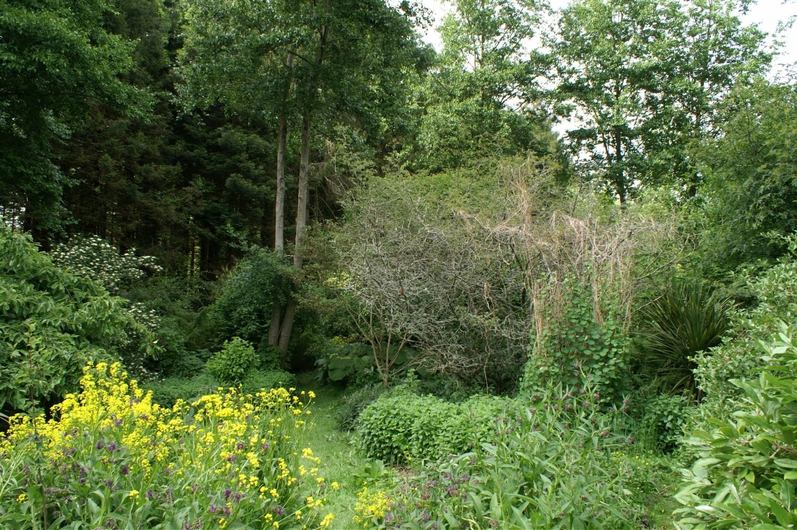 tuin-crawford-in-devon1-1536x1021_edited (Groot)